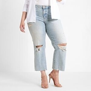 Express Distressed Light Blue Jeans